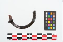 Foto von Eisenring (NHMW-PRAE-026163)
